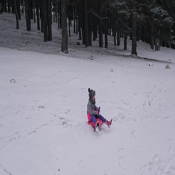 LA TABLILLA DE GREDOS